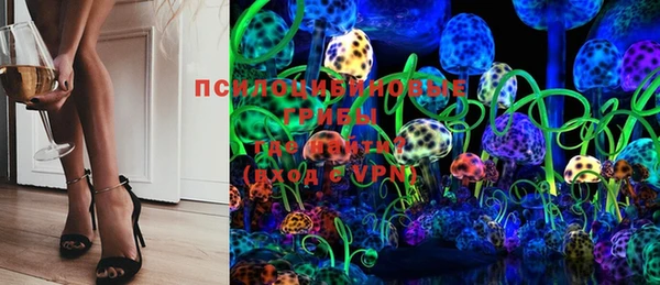 хмурый Инта
