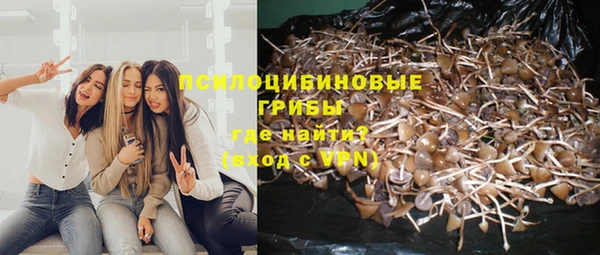 хмурый Инта