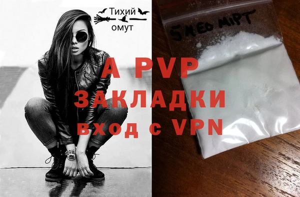 хмурый Инта
