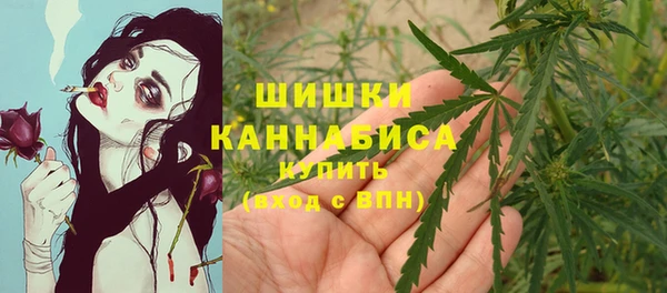 хмурый Инта