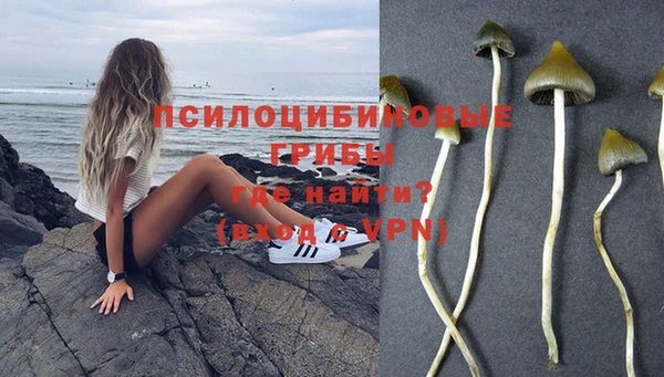 хмурый Инта